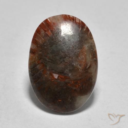 3.57ct 天然 彩色 珊瑚, 椭圆形, 半透明