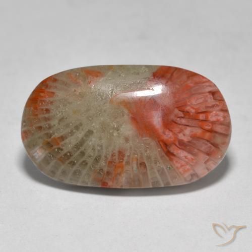 7.97ct 天然 彩色 珊瑚, 椭圆形, 半透明