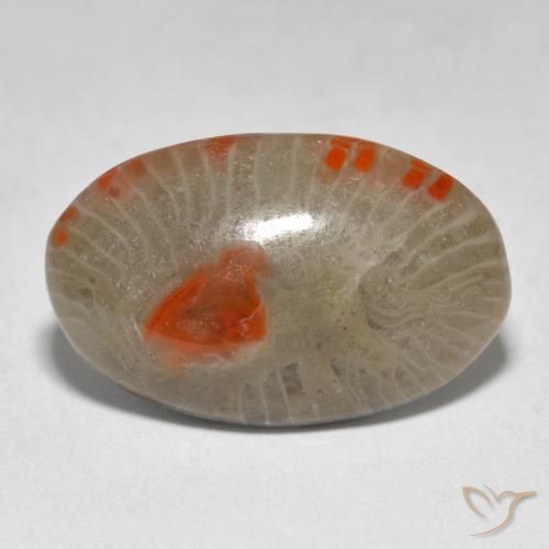 9.31ct 天然 彩色 珊瑚, 椭圆形, 半透明