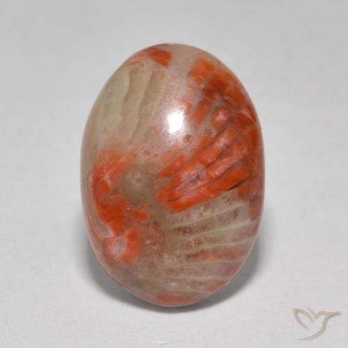 6.07ct 天然 彩色 珊瑚, 椭圆形, 半透明