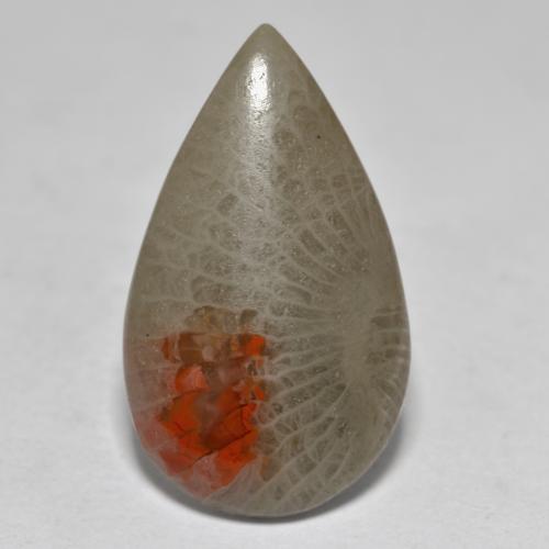 10.70克拉天然多色珊瑚，梨形，23.6×13.9毫米，半透明