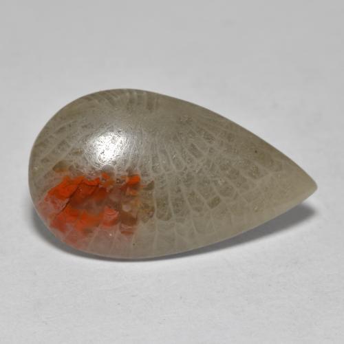 10.70克拉天然多色珊瑚，梨形，23.6×13.9毫米，半透明