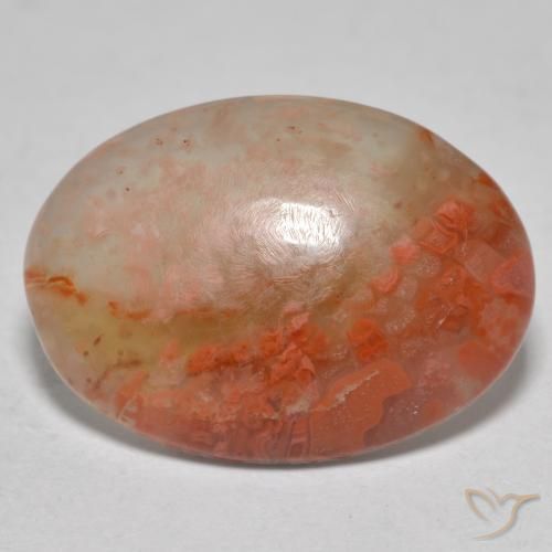 8.13ct 天然 彩色 珊瑚, 椭圆形, 半透明