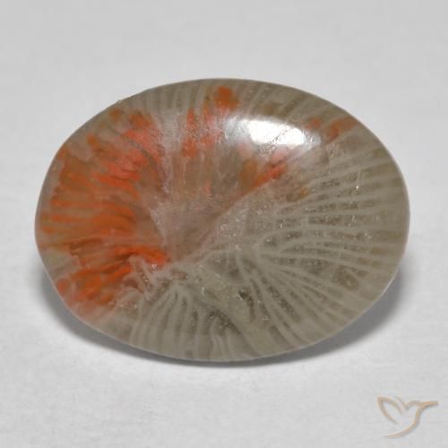 4.11ct 天然 彩色 珊瑚, 椭圆形, 半透明