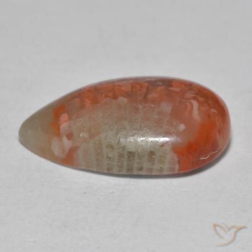 6.49克拉天然珊瑚，梨形，半透明