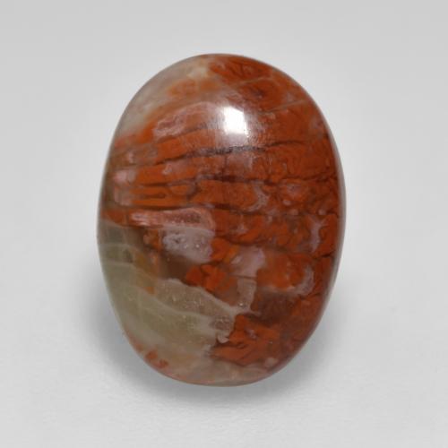 4.12克拉天然珊瑚，椭圆形切割，半透明