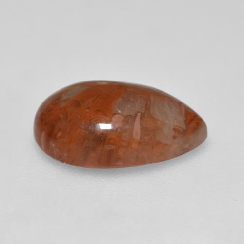 3.56克拉天然珊瑚，梨形，半透明