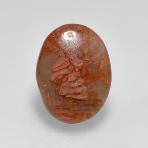 2.52克拉天然珊瑚，椭圆形切割，半透明