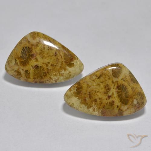 16.29ctw 天然 彩色 珊瑚, 花式切割, 不透明