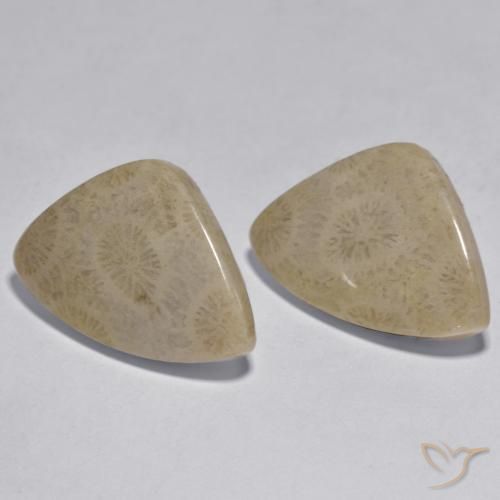 17.33克拉天然珊瑚，花式切割，不透明