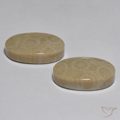 26.78克拉天然珊瑚，椭圆形，不透明
