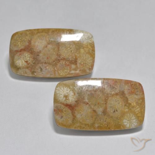 31.51ctw 天然 彩色 珊瑚, 软垫, 不透明