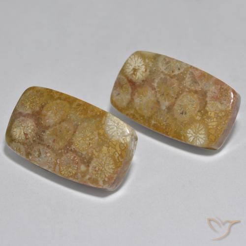 31.51克拉天然珊瑚，软垫，不透明
