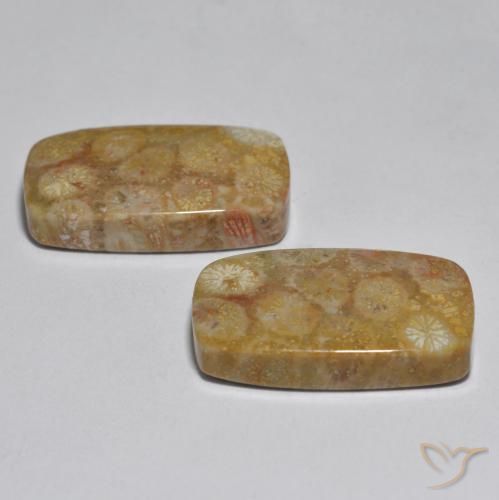31.51克拉天然珊瑚，软垫，不透明
