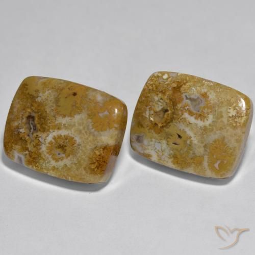 30.85克拉天然珊瑚，软垫，不透明