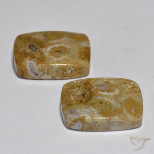 30.85克拉天然珊瑚，软垫，不透明
