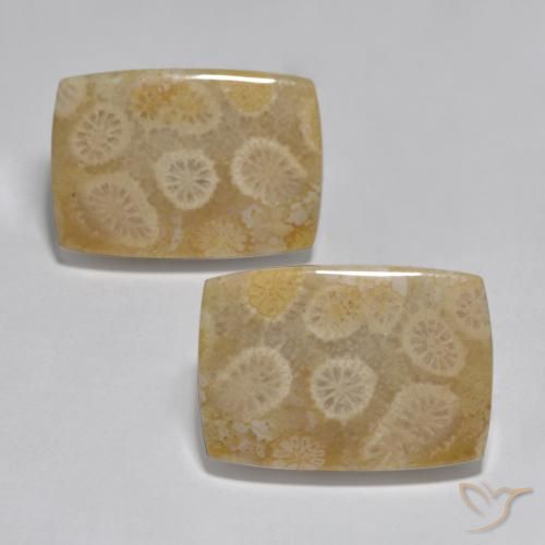 32.71ctw 天然 彩色 珊瑚, 软垫, 不透明