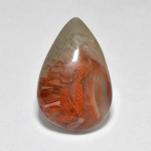 4.44克拉天然多色珊瑚，梨形，14.9×10毫米，半透明