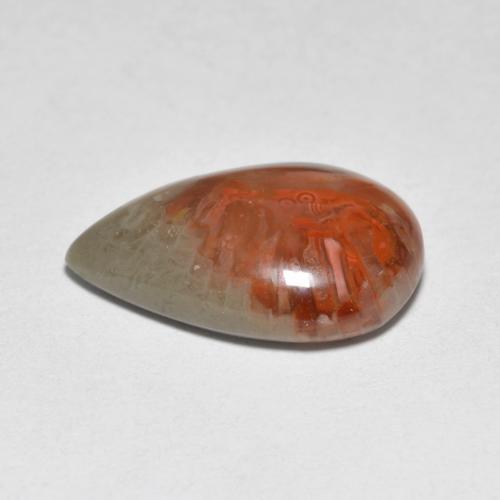 4.44克拉天然多色珊瑚，梨形，14.9×10毫米，半透明
