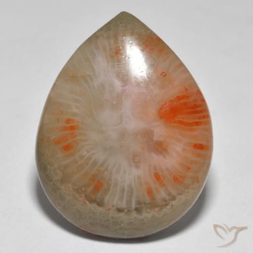 16.37ct 天然 彩色 珊瑚, 梨形, 半透明