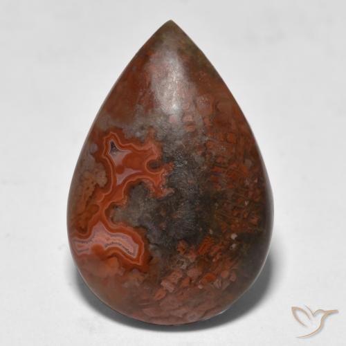 9.18ct 天然 彩色 珊瑚, 梨形, 半透明, Photo A