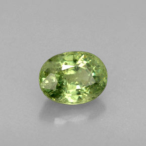 0.79克拉天然绿色翠榴石，椭圆形切割，5.9×4.5毫米，VS-SI
