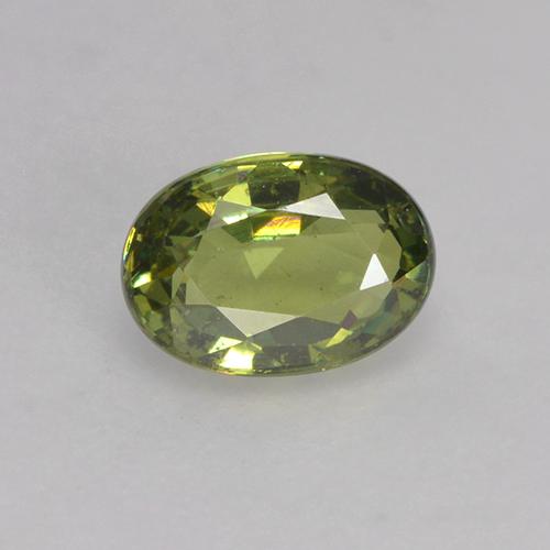 0.64克拉天然绿色翠榴石，椭圆形切割，5.8×4.1毫米，VS