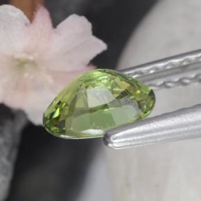 0.58克拉天然绿色翠榴石，椭圆形切割，5.8×4.1毫米，VS