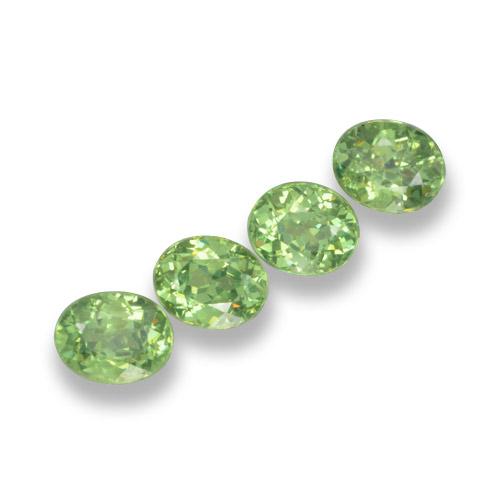 1.57天然绿色翠榴石，椭圆形切割，4.4×3.7毫米，VS