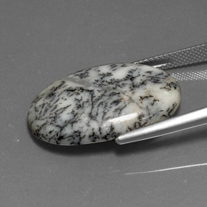 15.76克拉天然树枝状玛瑙，椭圆形切割，不透明
