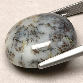 12.90克拉天然多色树枝玛瑙，椭圆形切割，18.4×15.2毫米，不透明