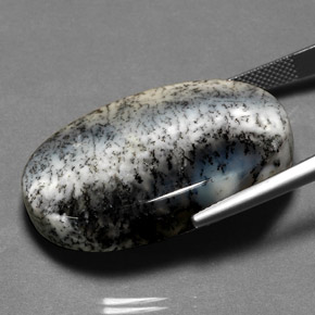 41.48克拉天然树枝状玛瑙，椭圆形切割，不透明