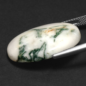 17.43克拉天然树枝状玛瑙，椭圆形切割，不透明