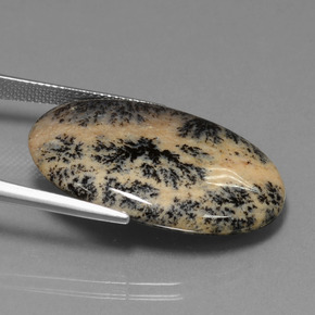 25.50克拉天然树枝状玛瑙，椭圆形切割，不透明