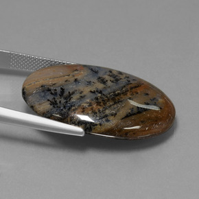 31.59克拉天然树枝状玛瑙，椭圆形切割，不透明