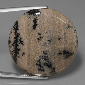 36.61克拉天然树枝状玛瑙，圆形切割，不透明