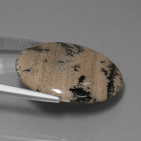 36.61克拉天然树枝状玛瑙，圆形切割，不透明