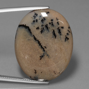 35.89克拉天然树枝状玛瑙，椭圆形切割，不透明