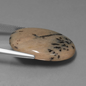 35.89克拉天然树枝状玛瑙，椭圆形切割，不透明