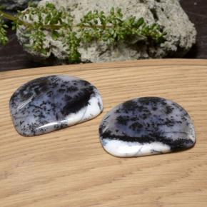 88.35天然多色树枝玛瑙，异形，36.6×33.2毫米，半透明
