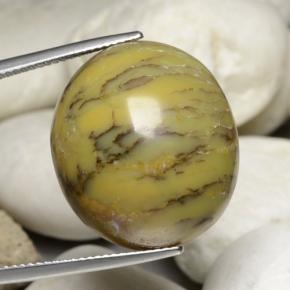 30.23克拉天然多色树枝玛瑙，椭圆形切割，22.6×20毫米，不透明
