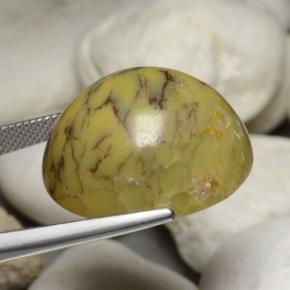 35.24克拉天然多色树枝玛瑙，椭圆形切割，23.5×20.7毫米，不透明