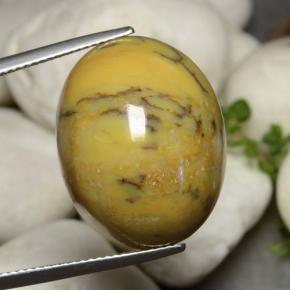 27.27克拉天然树枝状玛瑙，椭圆形切割，不透明