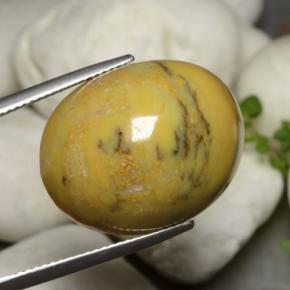 27.27克拉天然树枝状玛瑙，椭圆形切割，不透明