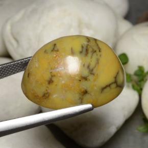 27.27克拉天然树枝状玛瑙，椭圆形切割，不透明