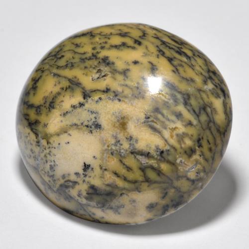 35.83克拉天然多色树枝玛瑙，椭圆形切割，26.9×23.8毫米，不透明