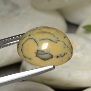 6.05克拉天然树枝状玛瑙，椭圆形切割，不透明