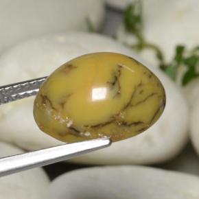 5.40克拉天然多色树枝玛瑙，椭圆形切割，13.4×10.7毫米，不透明