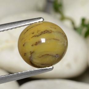 2.63克拉天然多色树枝玛瑙，椭圆形切割，9.9×9.1毫米，不透明