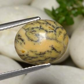 3.86克拉天然多色树枝玛瑙，椭圆形切割，12.9×10.8毫米，不透明